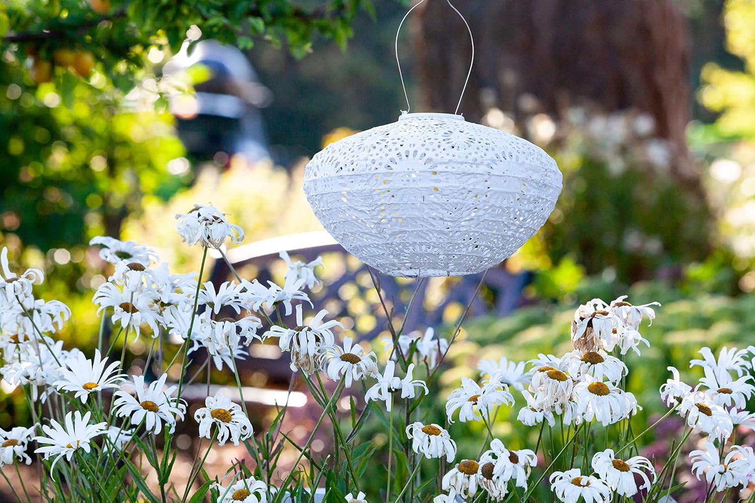 Allsop Soji Stella - Crown Chantilly Lace - 13" Outdoor Solar Latern - White-VerdiqueGarden