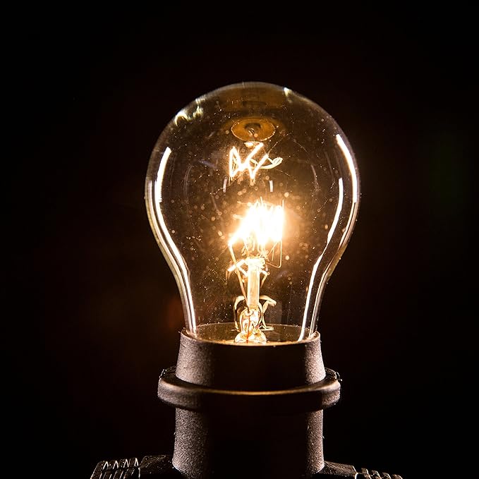 Hometown Evolution, Inc. 24 Foot E26 Outdoor Commercial String Lights with Suspended Socket for Weatherproof Heavy Duty Vintage Outside Lighting - Set of 12 A15 Clear Bulbs-VerdiqueGarden