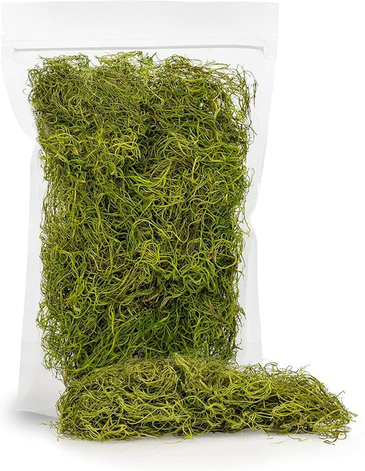 Premium Spanish Moss in Spring Green| Natural Preserved - Great Ground Cover - Filler for Potted Plants - by GARDENERA - 5 Quart Bag-VerdiqueGarden