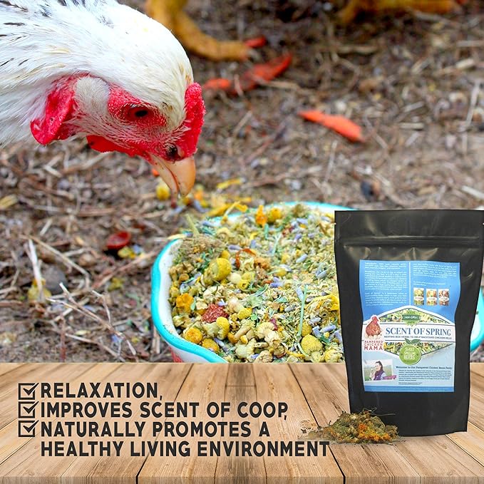 Nesting Herbs for Backyard Chickens 8 pounds - Scent of Spring - Keep Laying Hens Happy, Healthy and Relaxed-VerdiqueGarden
