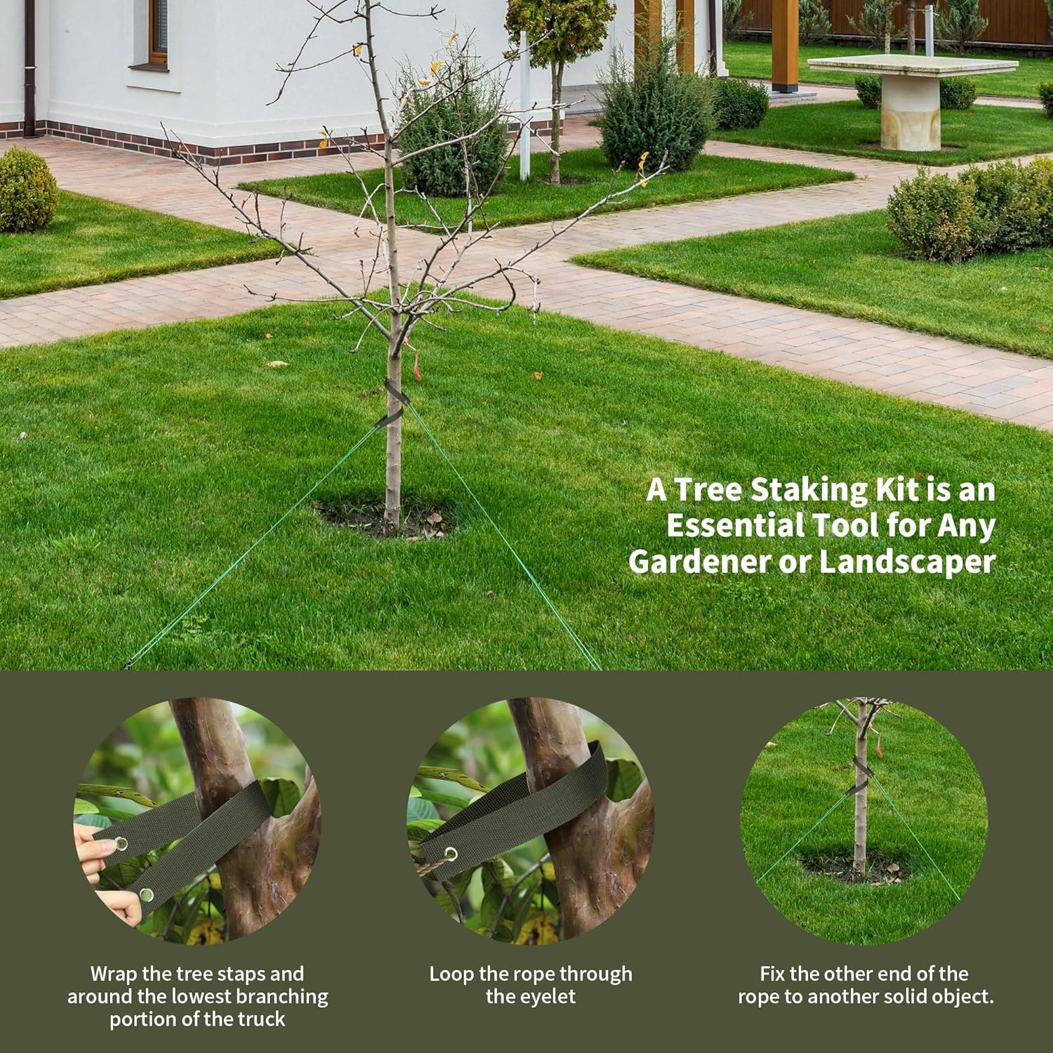 48 Pieces Tree Straps for Staking, 15.74 Inches Tree Support Straps with Grommet Heavy Duty Tree and Plant Supports Stakes for Straightening-VerdiqueGarden