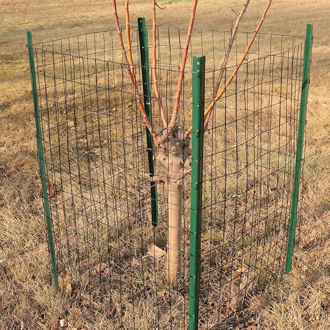 Black PVC Coated Welded Wire Fence 48 Inch x 50 Foot, 2 Inch x 3 Inch 16GA, Garden Border Fencing Roll Vinyl Coating Metal Wire Mesh for Yard Vegetable Plant Protection Poultry Netting-VerdiqueGarden