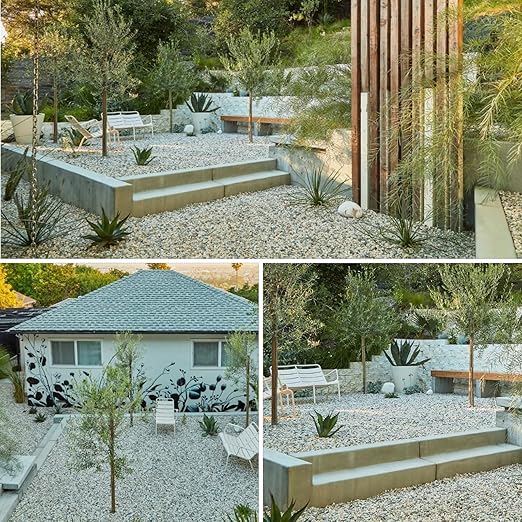 10lbs Mixed Color Pebbles for Landscaping, 3/8inch Small Rocks for Succulent Cactus Planters, Natural Polished Pebbles, River Rocks for Plants, Vases, Garden-VerdiqueGarden