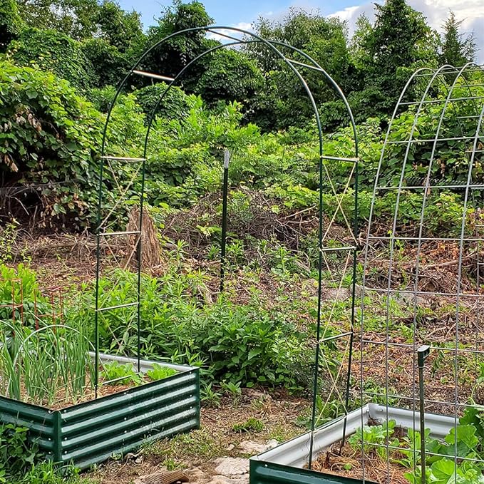 100% Metal Garden Arch Trellis for Climbing Plants Outdoor, Assemble Freely 2 Sizes,Pumpkin Archway Outdoor Garden Arbors and Arches for Wedding Party Decoration-VerdiqueGarden