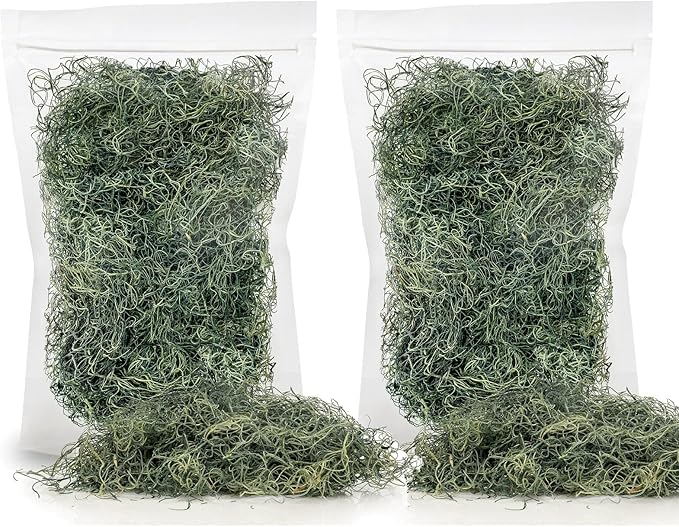 Premium Spanish Moss in Basil| Natural Preserved - Great Ground Cover - Filler for Potted Plants - by GARDENERA - 1 Quart Bag-VerdiqueGarden