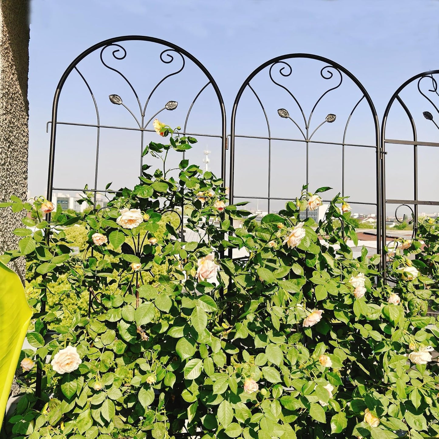 4 Pack Metal Garden Trellis 86.7" Tall Outdoor Climbing Plant Support for Roses, Flowers, Rustproof Durable Black Galvanized Tube, Lawn Garden Fence Decor Screen (4, Daisy-86.7" H)-VerdiqueGarden