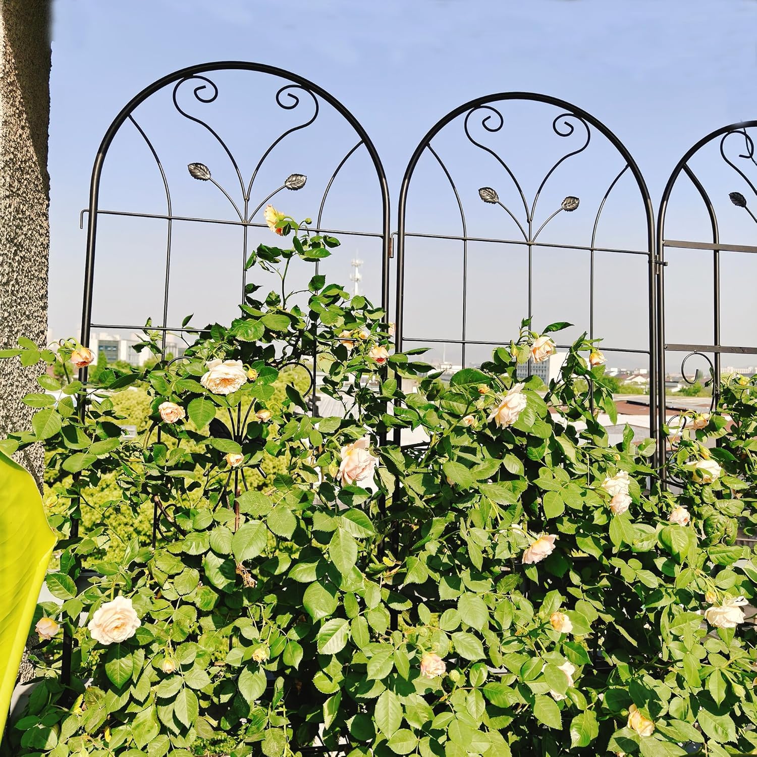 4 Pack Metal Garden Trellis 86.7" Tall Outdoor Climbing Plant Support for Roses, Flowers, Rustproof Durable Black Galvanized Tube, Lawn Garden Fence Decor Screen (4, Daisy-86.7" H)-VerdiqueGarden