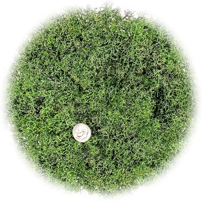 Premium Coco Coir and Perlite Potting Mix, Soil for Maximum Plant Growth, Perfect for Indoor and Outdoor Container Gardens by Gardenera - 2 Quart-VerdiqueGarden