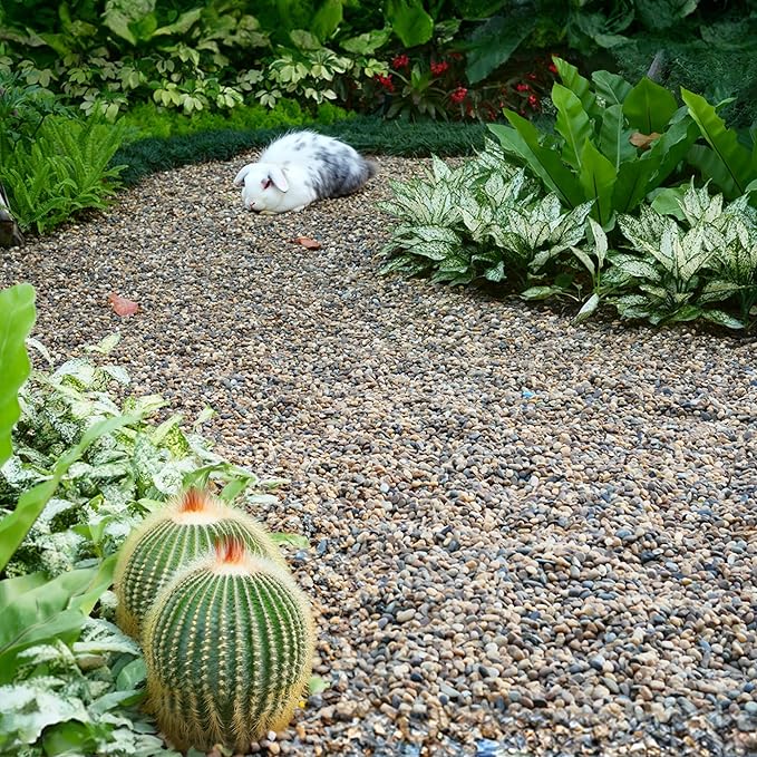 5 lbs Aquarium Gravel, 3-6mm Fish Tank Gravel, Succulent Cactus Pea Gravel for Indoor Plants, River Rocks for Gardening, Flower Pots, Vase Fillers, Garden Landscaping