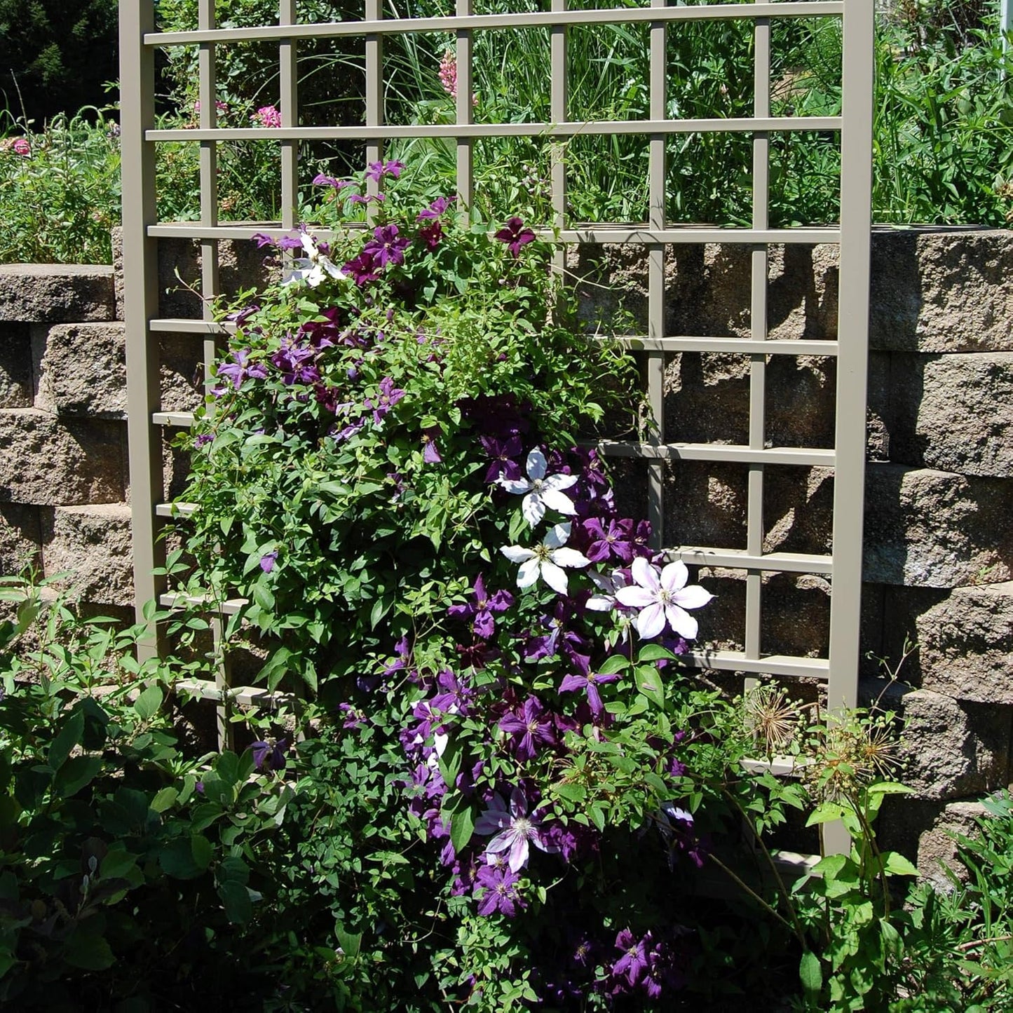 Dura-Trel Winchester 57 x 95 Inch PVC Vinyl Outdoor Garden Patio Trellis, with Wall Mounting Screws, Mocha-VerdiqueGarden