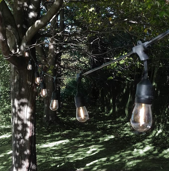 Hometown Evolution, Inc. 24 Foot E26 LED Outdoor Commercial String Lights with 12 Suspended Sockets and S14 LED Filament 1 Watt Bulbs-VerdiqueGarden