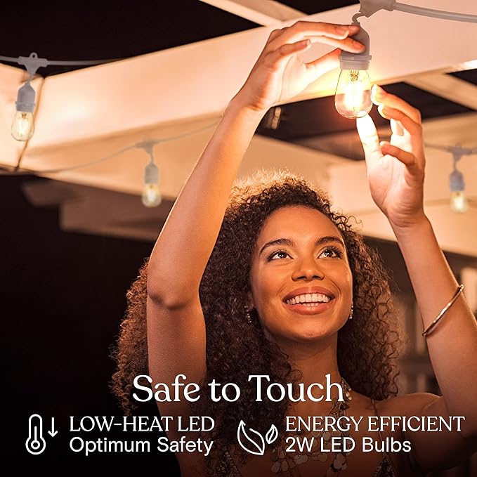 Brightech Ambience Pro Waterproof LED Outdoor String Lights, 48 Ft, Hanging, Dimmable Vintage Edison Bulbs, 15 Bulbs, 2W-VerdiqueGarden