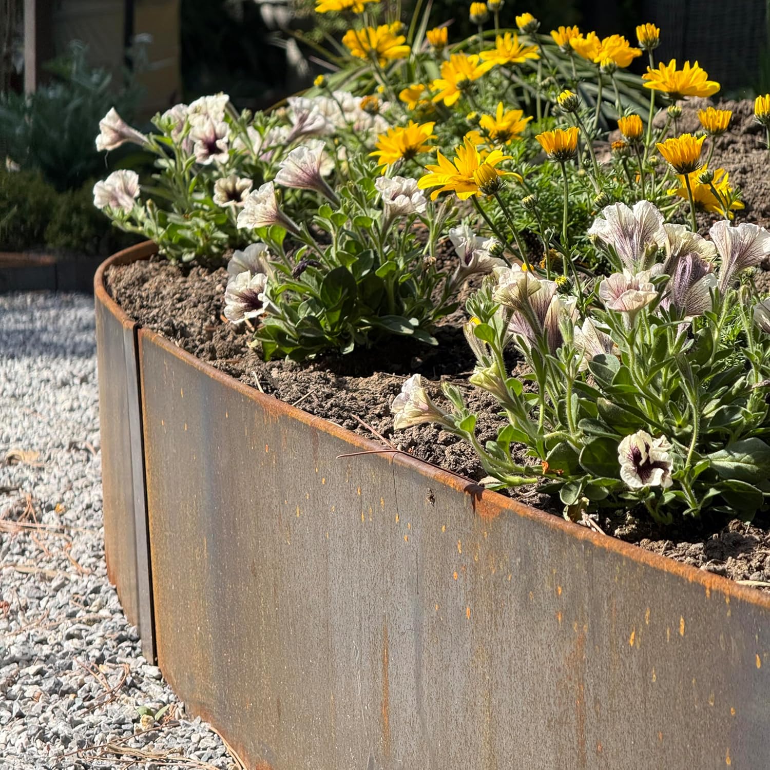 Hammer-in Landscape Edging - 48-inch Strips - 14-inch Depth 1/4-inch Rounded top COR-Ten Steel (5 Pack)-VerdiqueGarden