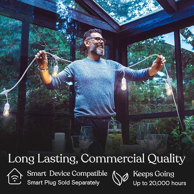 Brightech Ambience Pro Waterproof LED Outdoor String Lights, 48 Ft, Hanging, Dimmable Vintage Edison Bulbs, 15 Bulbs, 2W-VerdiqueGarden