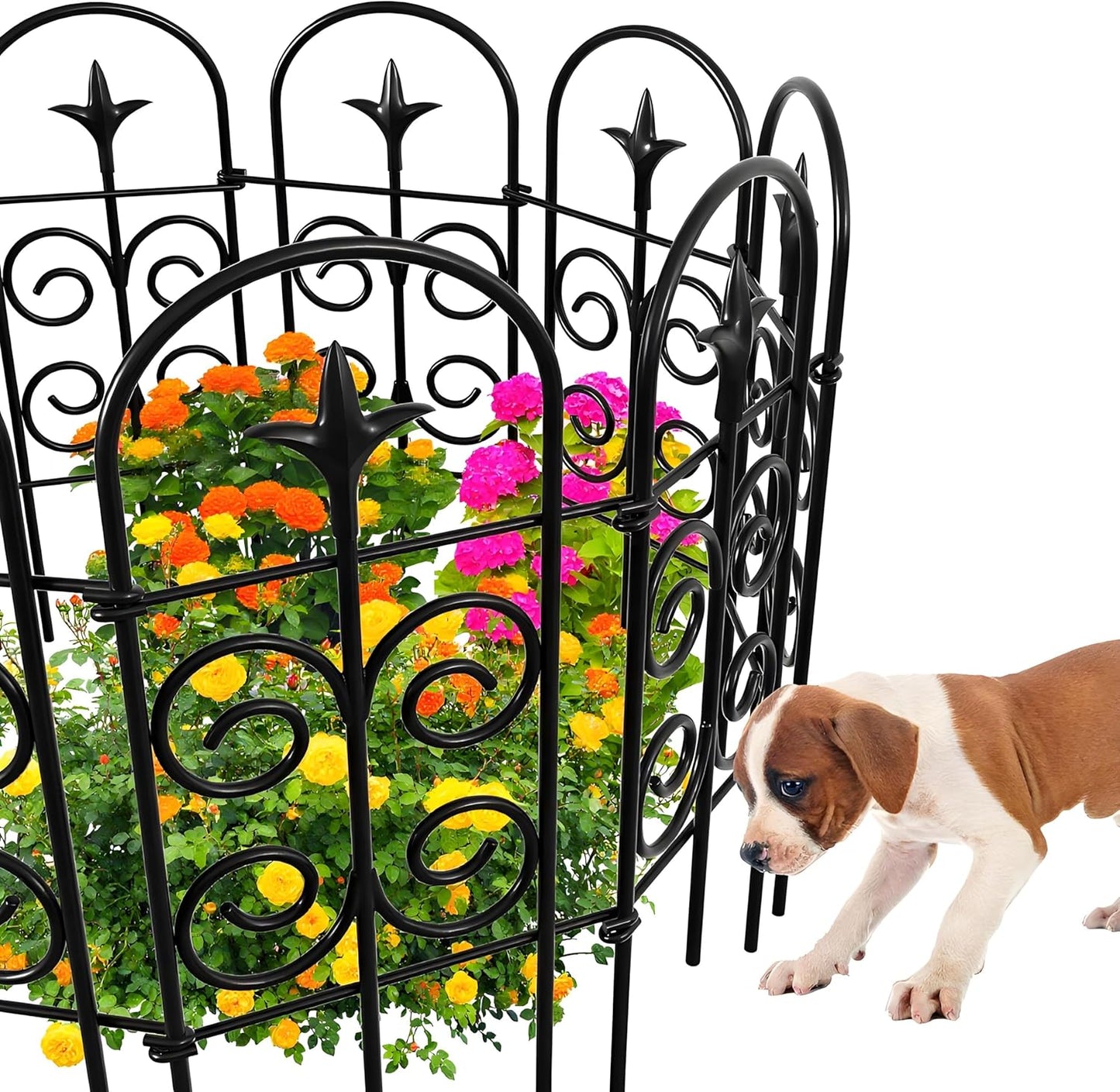 AMAGABELI GARDEN & HOME 8 Panels 32in(H)×10ft(L) Decorative Garden Fences and Borders for Dogs Pre-Linking Panels No Dig Garden Edging Border Fence for Animal Barrier Fencing for Flower Bed Yard Patio-VerdiqueGarden