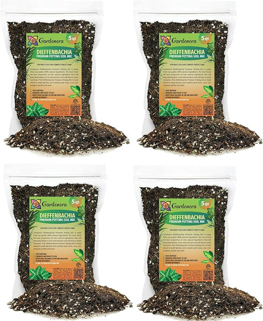 Premium DIEFFENBACHIA Potting Soil Mix - Ideal for Growing Robust and Healthy Dieffenbachia - 20 Quart-VerdiqueGarden