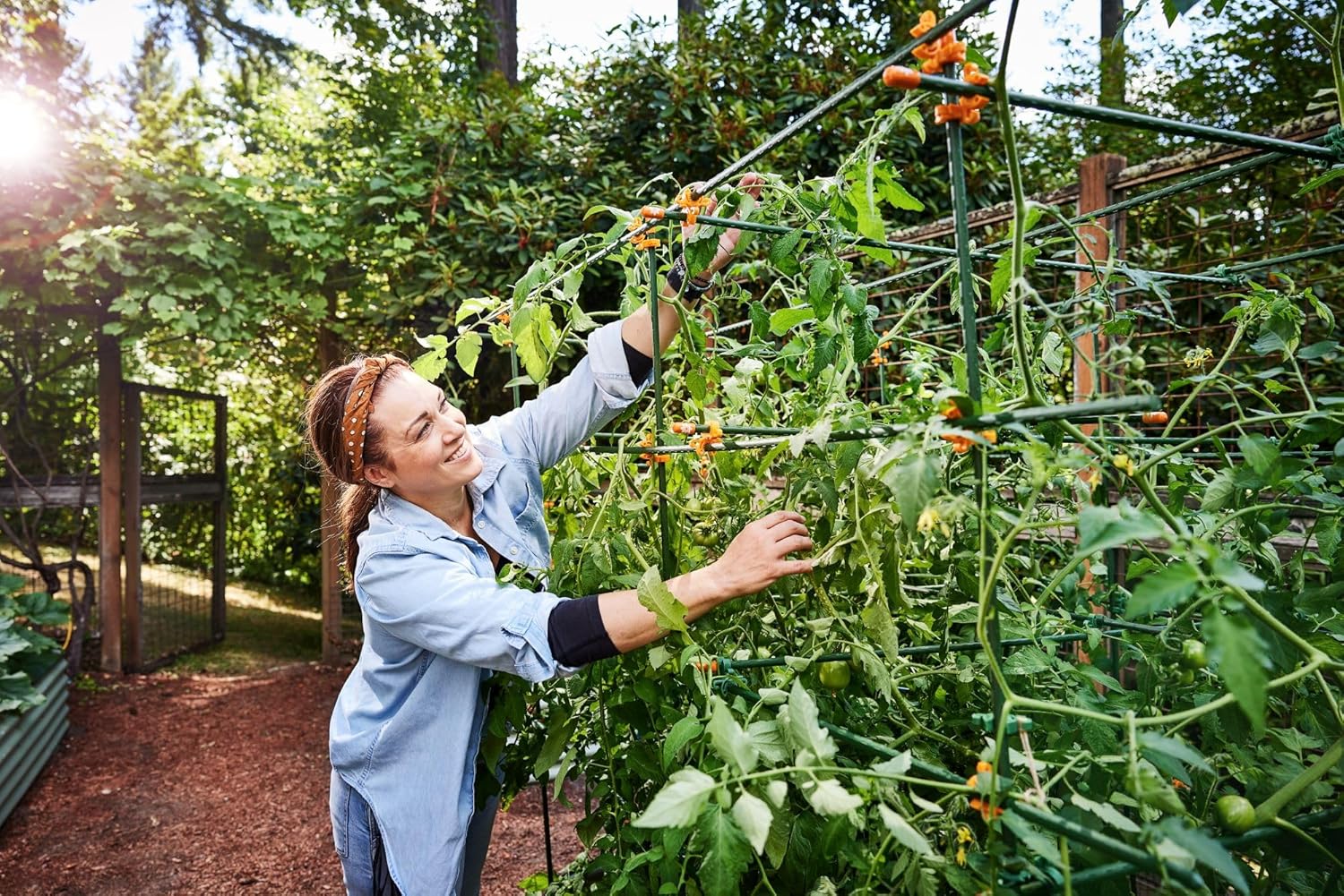 Plant Support Clips for Trellis, Garden Stakes, Wire Fence, Climbing Plants, Indoor Gardening, Hydroponics Systems, and Vines | Durable Gardening Clips (50 Lime Green + 50 Tangerine Orange)-VerdiqueGarden