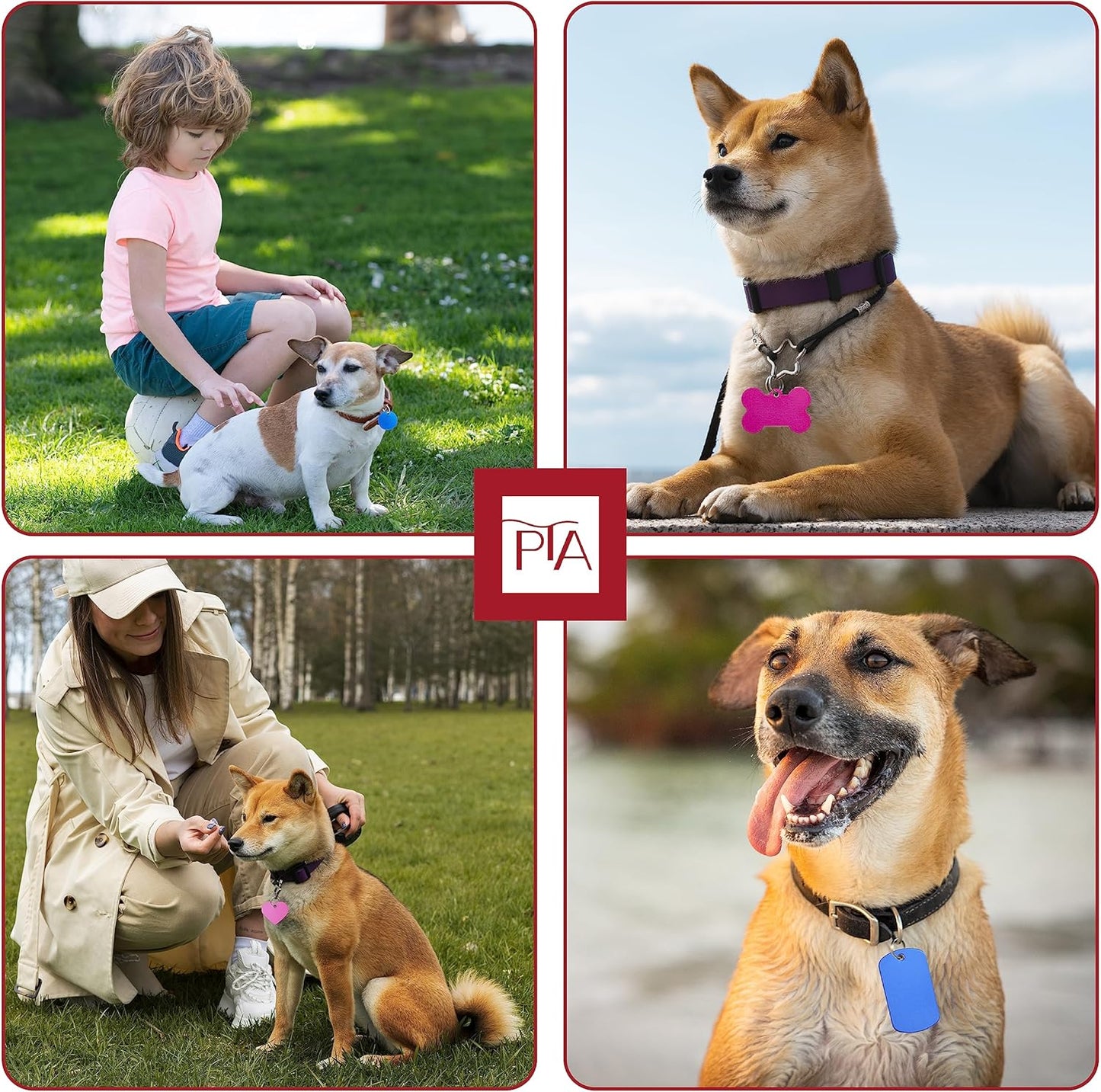 [Press TX Art] 40 Pcs Round(Circle), Bone, Rectangle, Heart Anodized Aluminum Stamping Blanks Tags 10 Mixed Colors Metal Engraving ID Name Tags with Rings (4 Types of Shapes in 10 Colors)-VerdiqueGarden