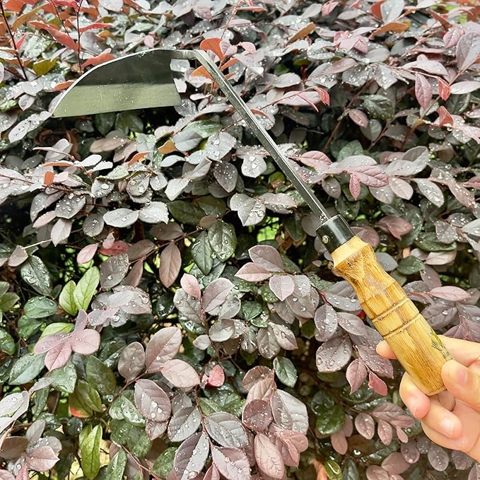 12 Inch Japanese Gardening Hand Weeding Sickle, Weeding Hoe with Long Wooden Handle-VerdiqueGarden