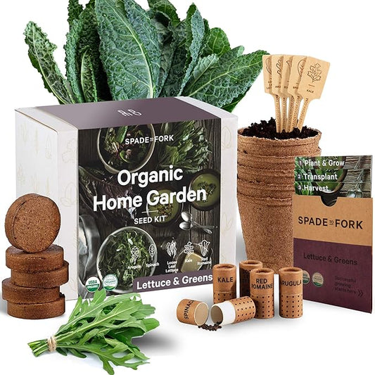 Organic Indoor Lettuce & Greens Garden Starter Kit - Certified USDA Organic Non GMO - Includes Spinach, Kale, Red Romaine, Loose Leaf Lettuce Seeds for Planting, Potting Soil, Peat Pots-VerdiqueGarden