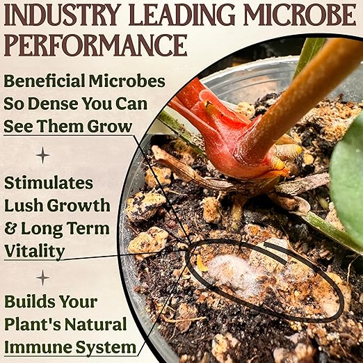 All-in-One Complete Organic Plant Food, Indoor Plant Food for Houseplants, Organic Fertilizer for Vegetable Gardens, 7 Formulated Single Servings Feeds 14 gal Fast and Slow Release-VerdiqueGarden