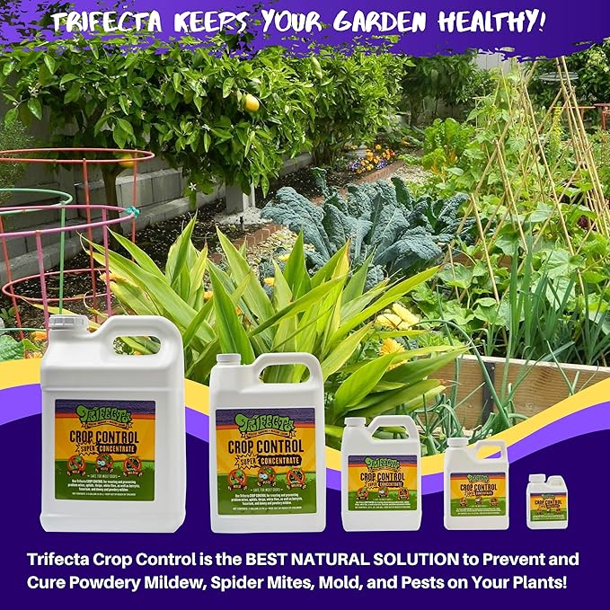 Trifecta Crop Control Super Concentrate All-in-One Natural Pesticide, Fungicide, Miticide, Insecticide, Help Defeat Spider Mites, Powdery Mildew, Botrytis, Mold and More on Plants 32 OZ-VerdiqueGarden