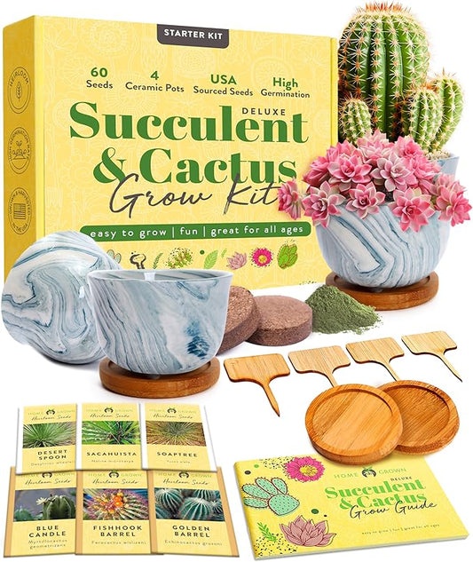 HOME GROWN Deluxe Succulent & Cactus Seed Grow Kit - Indoor Cactus & Succulent Kit w/Cactus Seeds, Potting Soil, Ceramic Succulent Pots, Water Drip Trays, Grow Guide for Plant Lovers-VerdiqueGarden