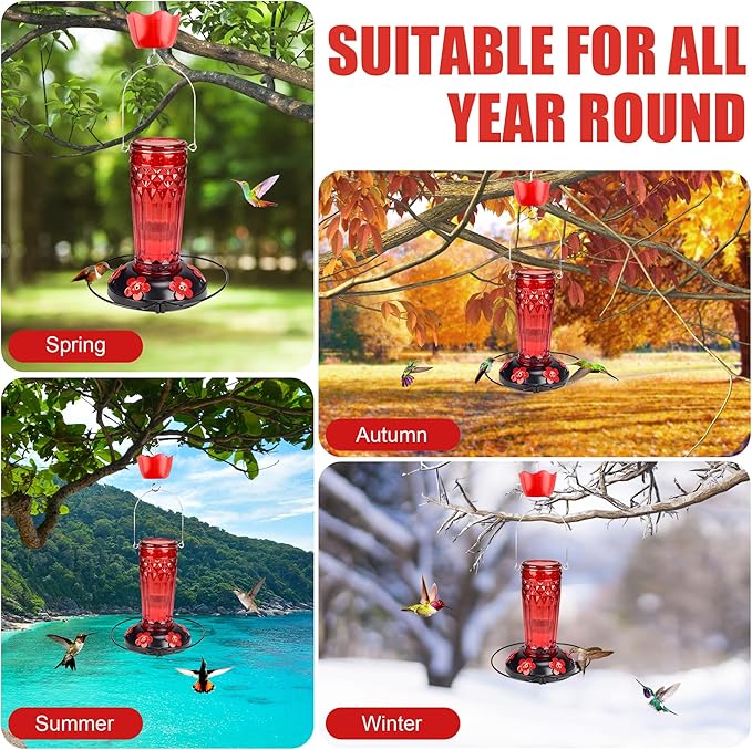 Hummingbird Feeder-16 Ounces，6 Feeding Ports Glass Hummingbird feeders for Outdoors,Wide Mouth for Easy Filling/Cleaning，Hanging for Garden Backyard Decor, Includes Ant Moat (Red)-VerdiqueGarden
