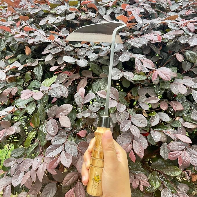 12 Inch Japanese Gardening Hand Weeding Sickle, Weeding Hoe with Long Wooden Handle-VerdiqueGarden