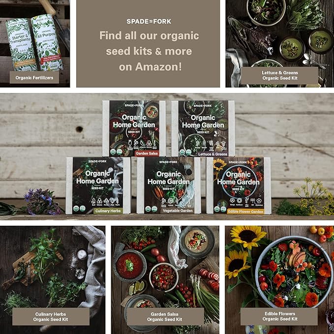 Organic Indoor Vegetable Garden Starter Kit - Made in USA - Certified USDA Organic - 5 Seed Types Cherry Tomato, Lettuce, Carrot, Radish, Green Bean | Indoor Plant Seeds, Indoor Garden Kit, Plant Kit-VerdiqueGarden