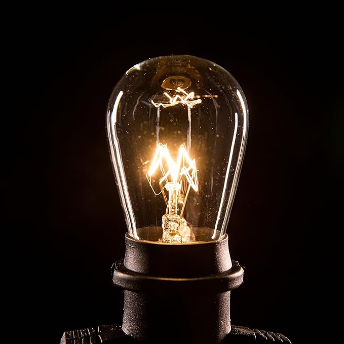 Hometown Evolution, Inc. 100 Foot Commercial Grade Outdoor String Lights (100 Foot 50 Socket, S14 11 Watt Clear Light Bulbs)-VerdiqueGarden