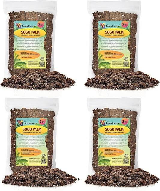 SOGO Palm Potting Mix - Unlock Robust Growth and Striking Form with Our High-Performance Formula - 20 Quart-VerdiqueGarden