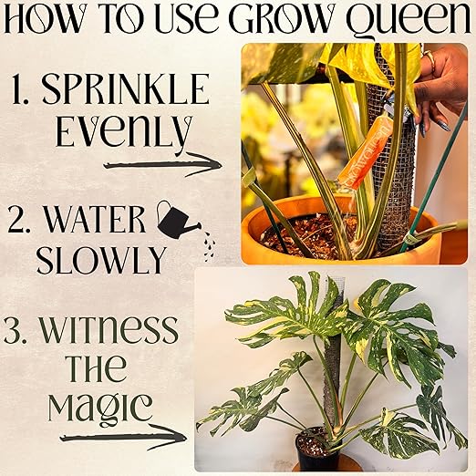 All-in-One Complete Organic Plant Food, Indoor Plant Food for Houseplants, Organic Fertilizer for Vegetable Gardens, 7 Formulated Single Servings Feeds 14 gal Fast and Slow Release-VerdiqueGarden