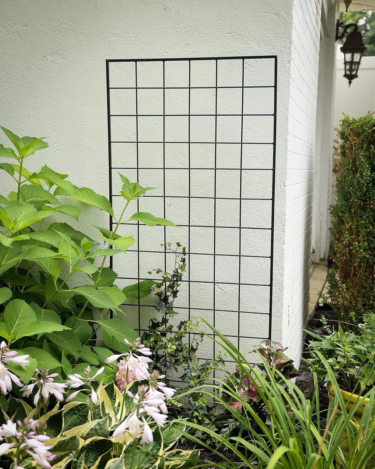 American Garden Works STNMB Narrow Screen Trellis, Black 64.25"H-VerdiqueGarden