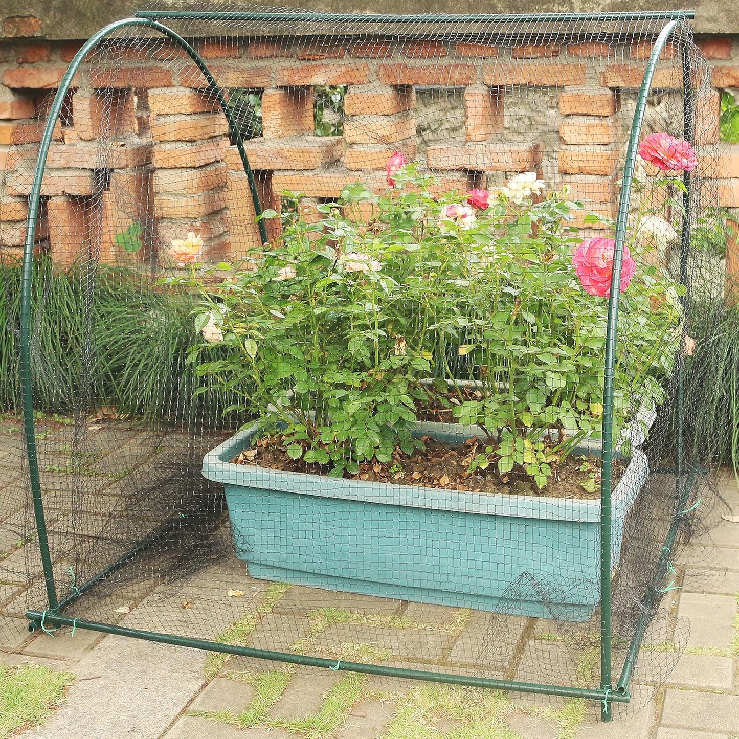 Gardzen Garden Hoops, DIY Greenhouse Hoops for Raised Beds, Row Cover, Garden Netting 72PCS-VerdiqueGarden