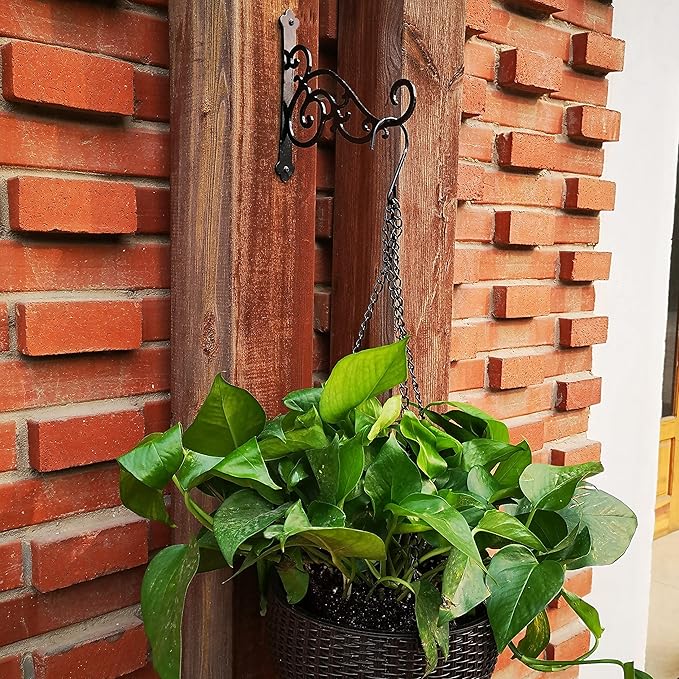 N+A Sunshine Iron Metal Hanging Planter Bracket, 2 Pack Wall Hooks for Hanging Birds Feeders, Latern, Wind Chimes, Coat, Decorative Indoor Outdoor (Black)-VerdiqueGarden